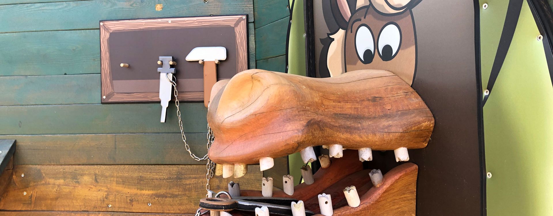 Abenteuerwildnis am Baumkronenpfad im Nationalpark Hainich