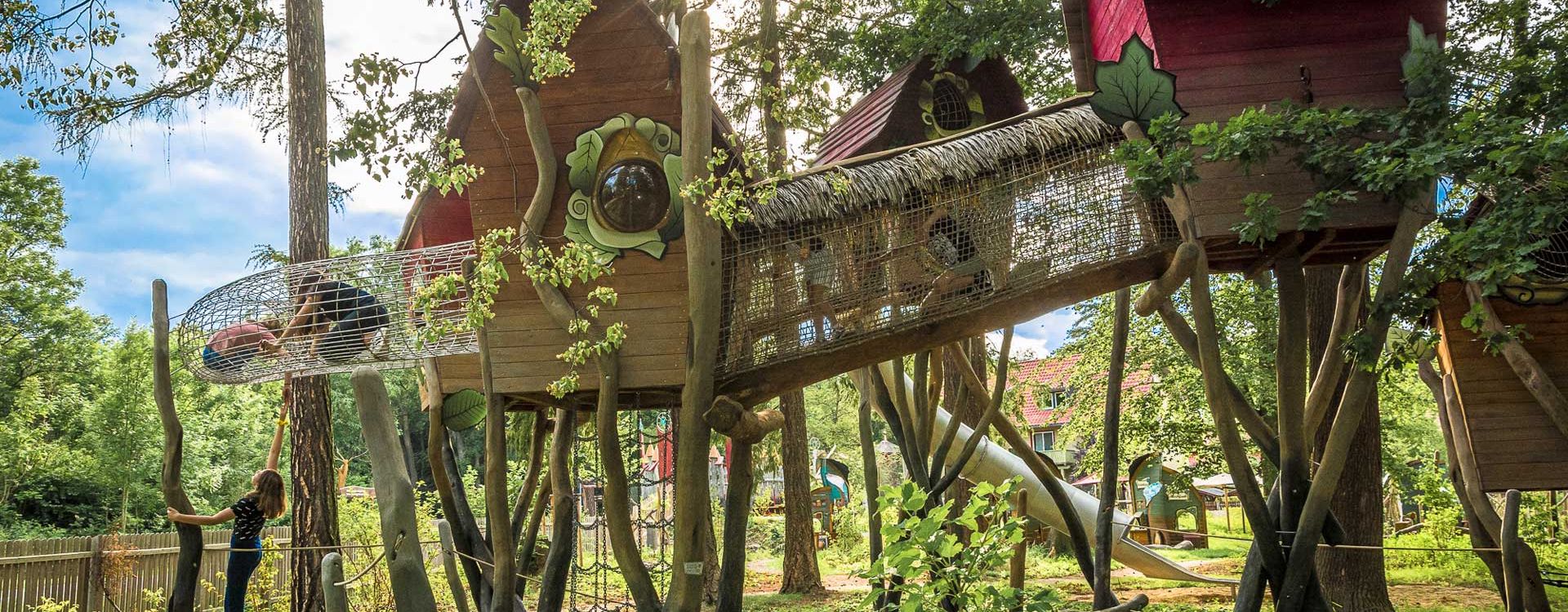 Abenteuerwildnis am Baumkronenpfad im Nationalpark Hainich