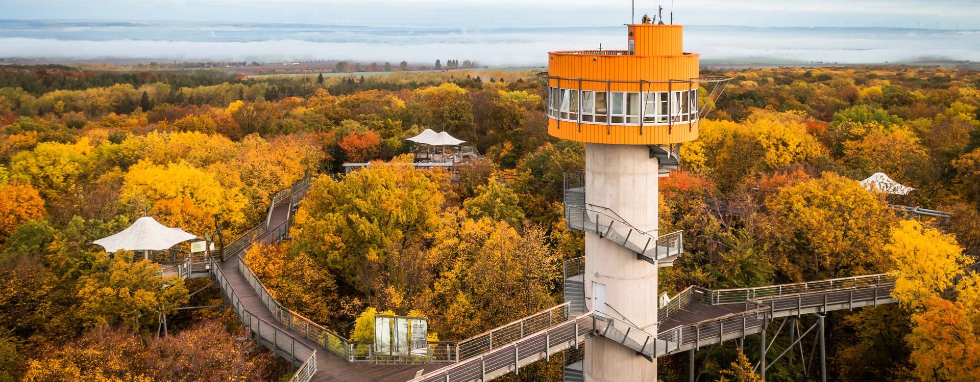 Baumkronenpfad im Nationalpark Hainich Herbst