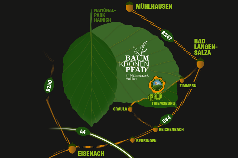 Der Baumkronenpfad und die Erlebniswelten im Nationalparkzentrum sind vollständig rollstuhlgerecht gestaltet.