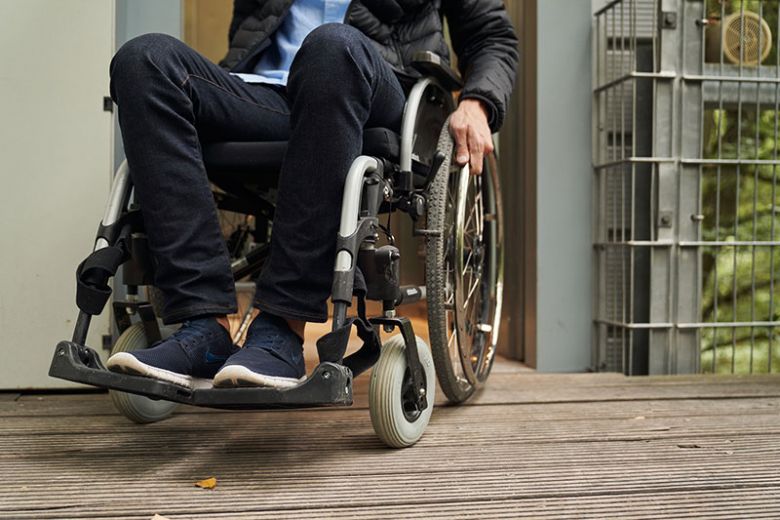 Der Baumkronenpfad und die Erlebniswelten im Nationalparkzentrum sind vollständig rollstuhlgerecht gestaltet.