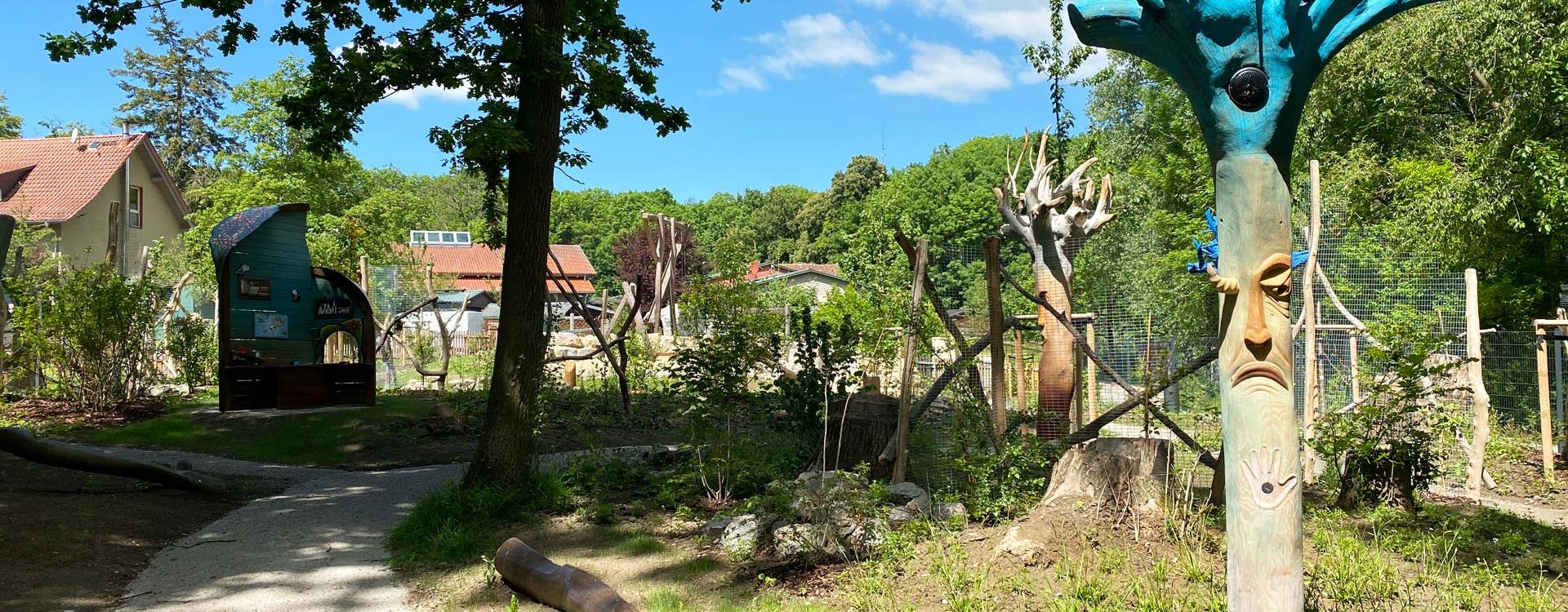 Abenteuerwildnis am Baumkronenpfad im Nationalpark Hainich