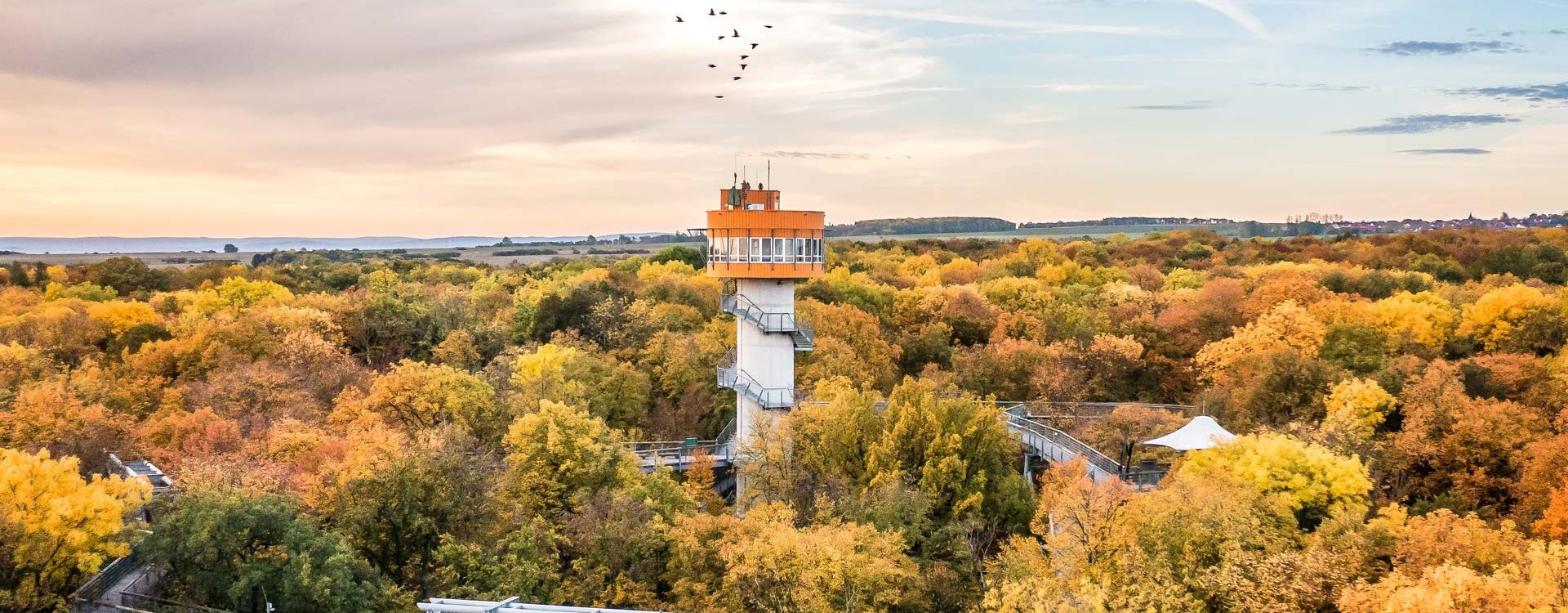 Baumkronenpfad im Nationalpark Hainich Herbst