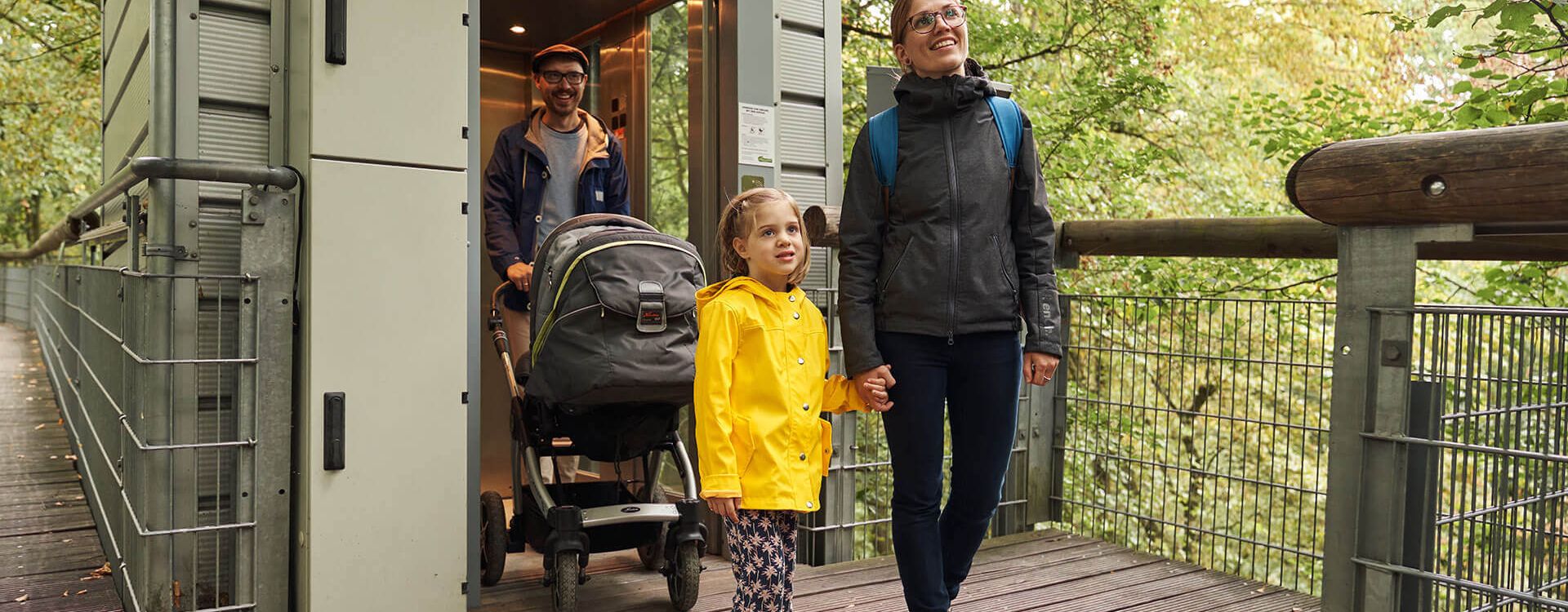 Baumkronenpfad - barrierefrei