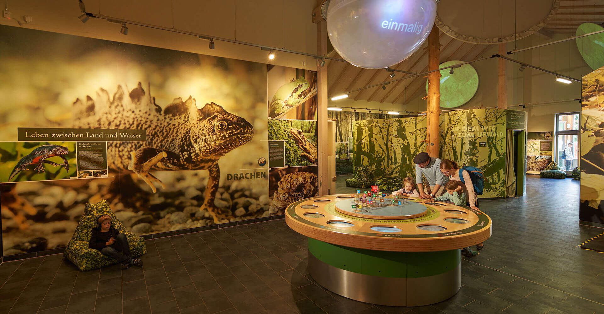 Baumkronenpfad im Nationalpark Hainich